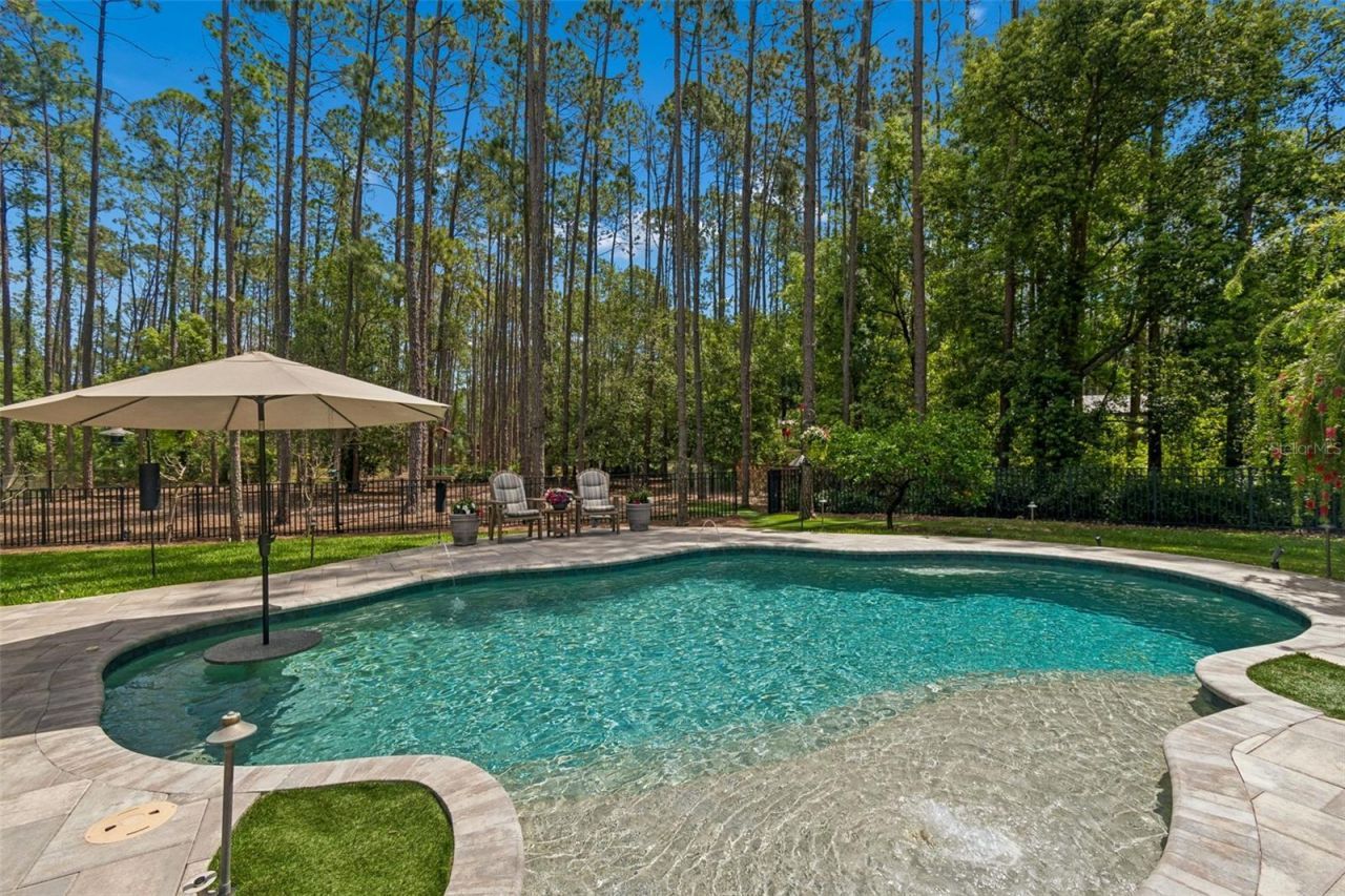 421 Pine Bluff Drive, Lutz, FL 33549 Photo