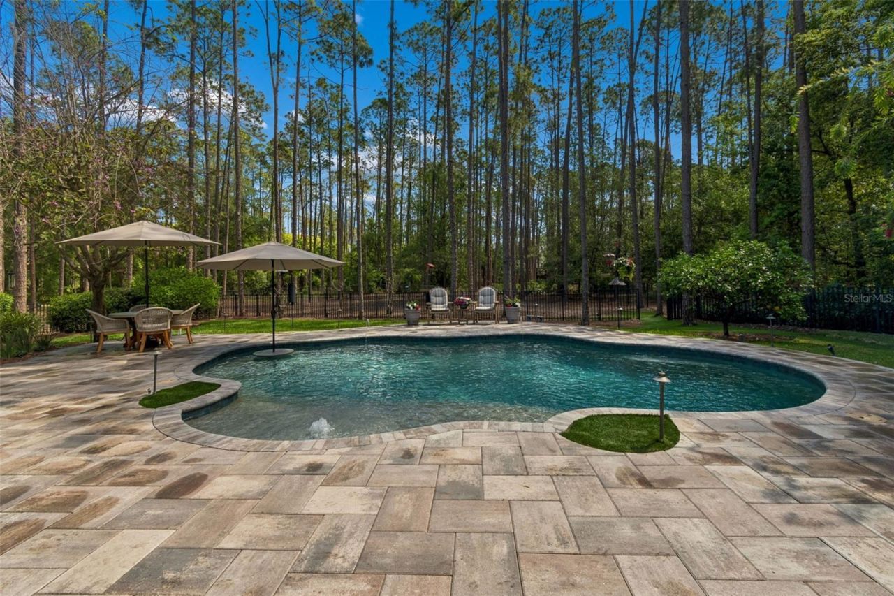 421 Pine Bluff Drive, Lutz, FL 33549 Photo