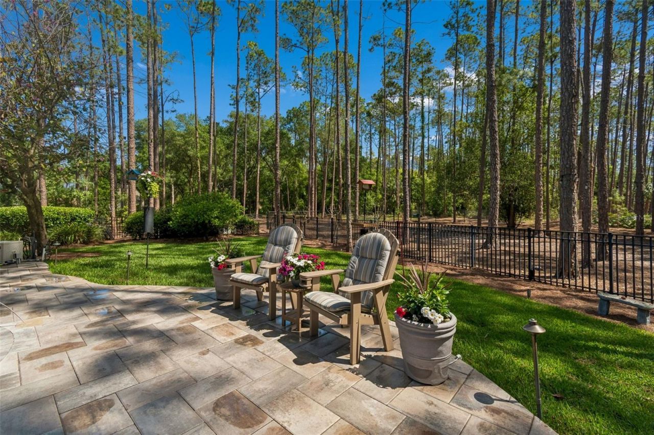 421 Pine Bluff Drive, Lutz, FL 33549 Photo