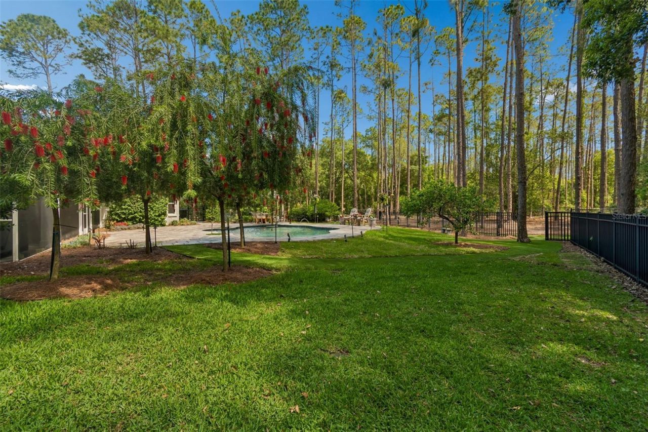 421 Pine Bluff Drive, Lutz, FL 33549 Photo