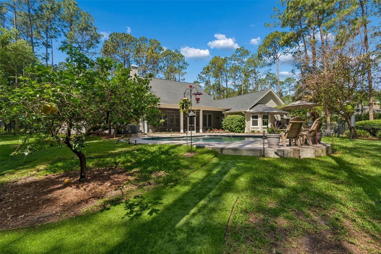 421 Pine Bluff Drive, Lutz, FL 33549 Photo