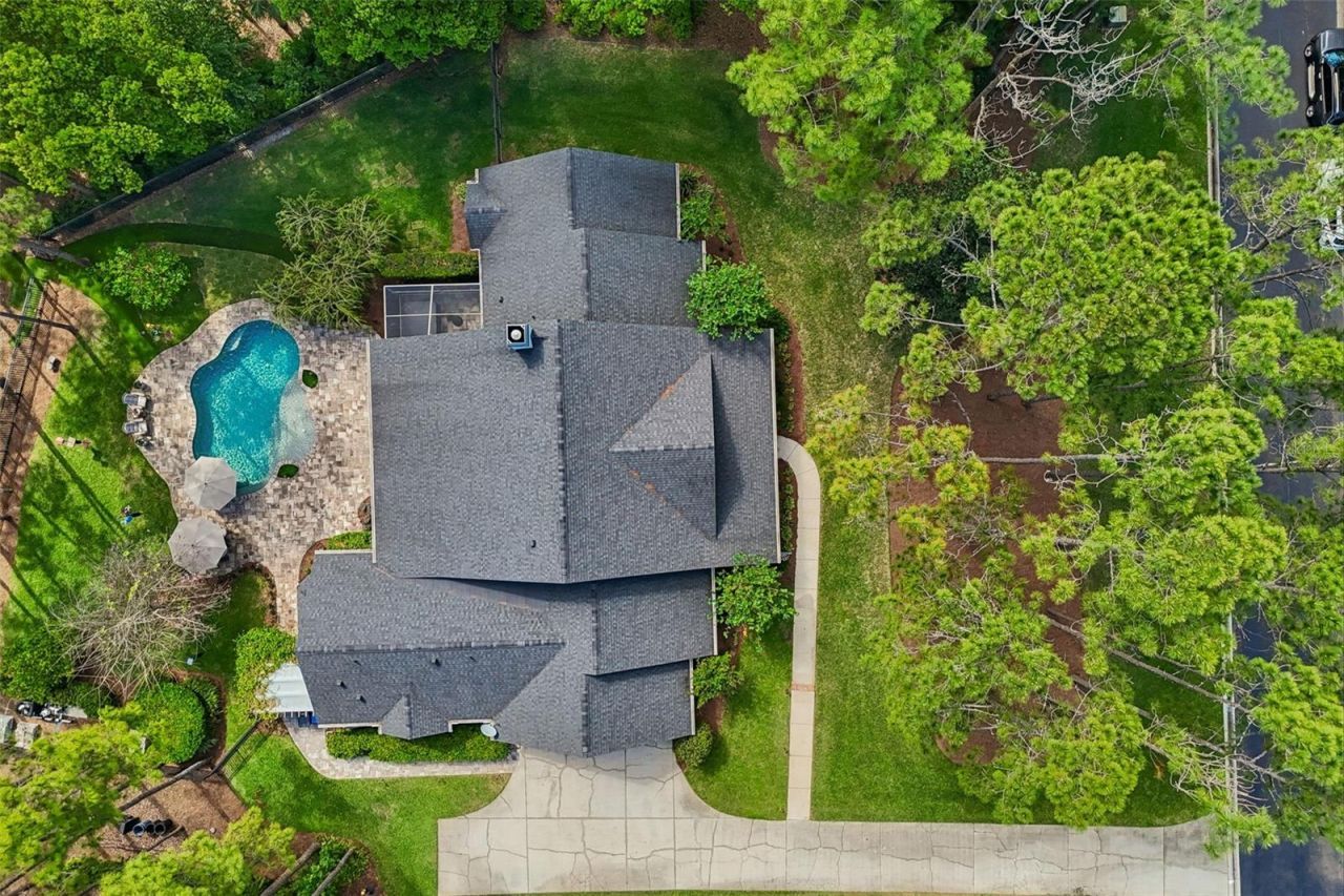 421 Pine Bluff Drive, Lutz, FL 33549 Photo