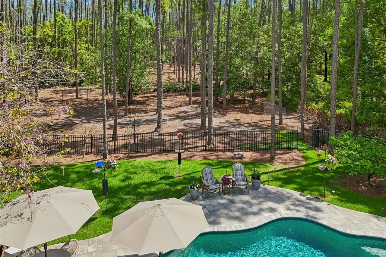 421 Pine Bluff Drive, Lutz, FL 33549 Photo