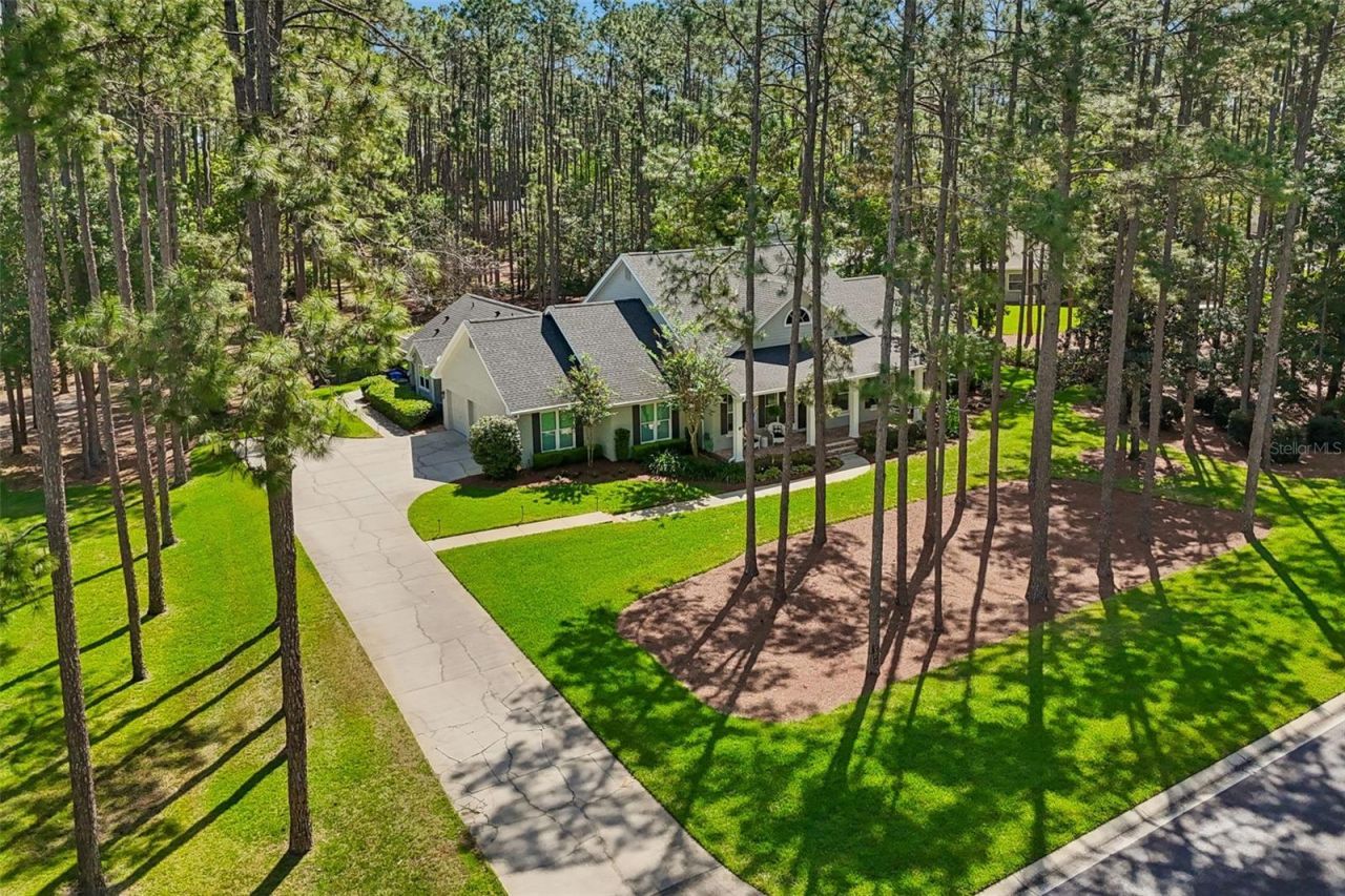 421 Pine Bluff Drive, Lutz, FL 33549 Photo