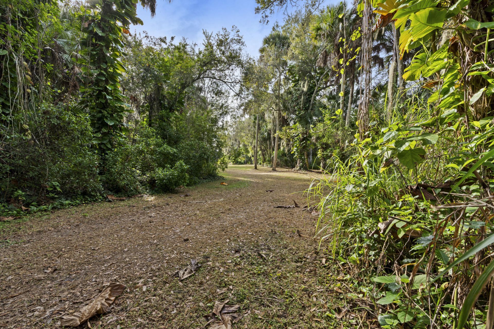 14700 SW Sonora Terrace, Indiantown, FL 34956 Photo