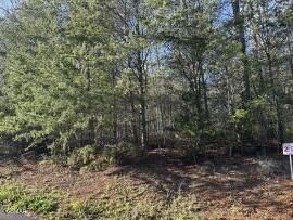 Lot 2 Timber Trail, Newport, TN 37821 Main Photo