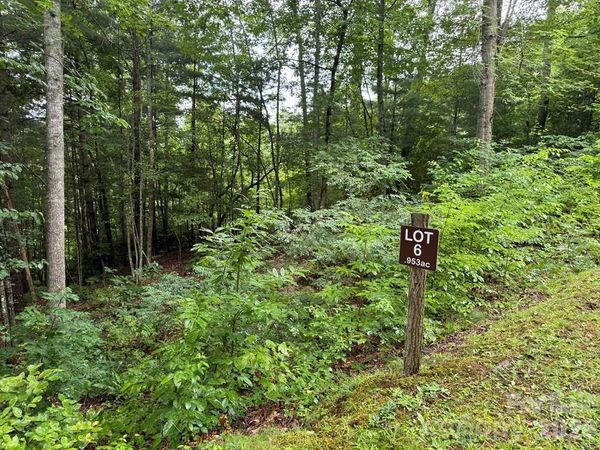 Lot 6 Garnet Road , Sylva, NC 28779