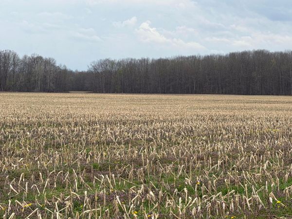 0 Forman Road, Austinburg, OH 44010