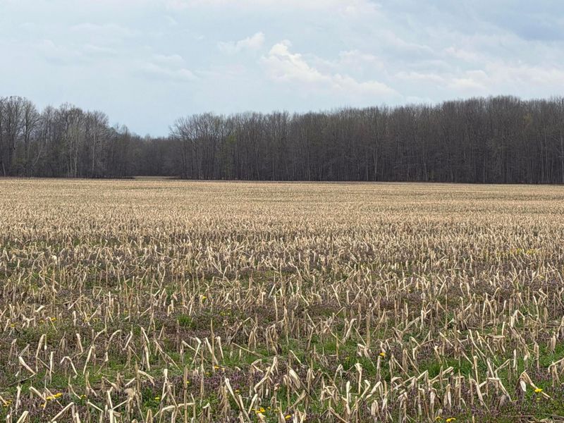 0 Forman Road, Austinburg, OH 44010 Photo 1