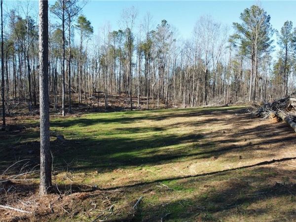 1 County Road 83, Oakman, AL 35579