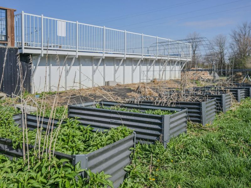 11450 Plattsburg Road, South Charleston, OH 45368 Photo 57