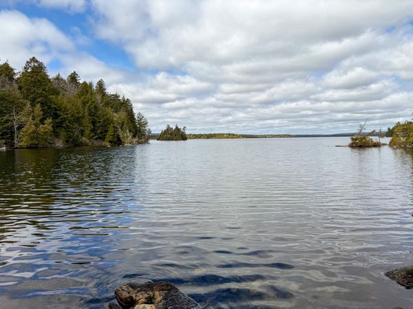 X Smith Cove Road, Cathance Twp, ME 04657