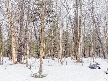 1727 Olin Road, Lowville, NY 13367