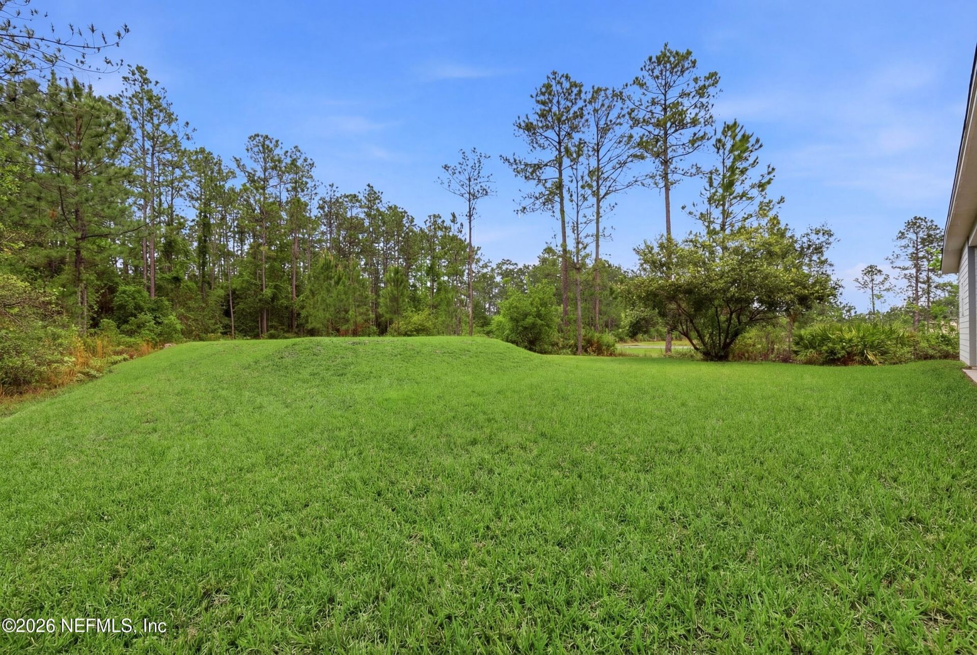 11230 Saddle Crest Way, Jacksonville, FL 32219 Photo