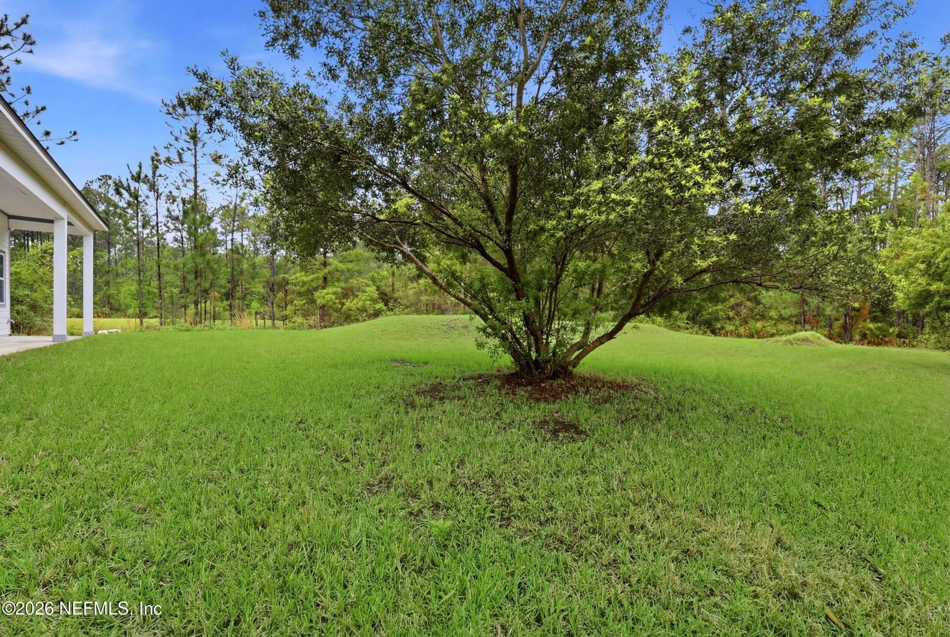 11230 Saddle Crest Way, Jacksonville, FL 32219 Photo