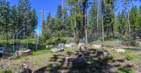 2399 Campo Flores Ln, West Point, CA 95255 Photo
