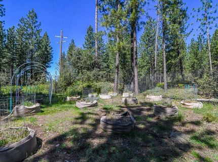 2399 Campo Flores Ln, West Point, CA 95255 Photo