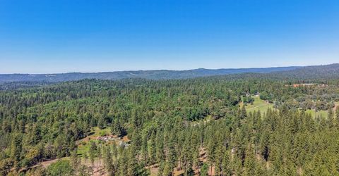 2399 Campo Flores Ln, West Point, CA 95255 Photo