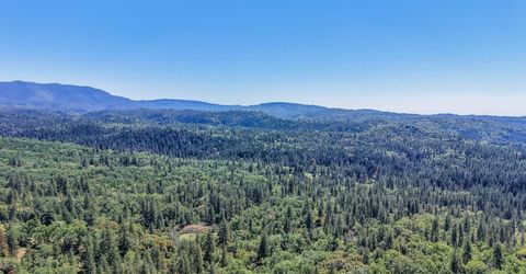 2399 Campo Flores Ln, West Point, CA 95255 Photo