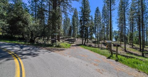 2399 Campo Flores Ln, West Point, CA 95255 Photo