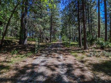2399 Campo Flores Ln, West Point, CA 95255 Photo