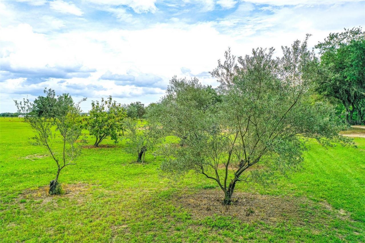 6850 Hunt Road, Groveland, FL 34736 Photo