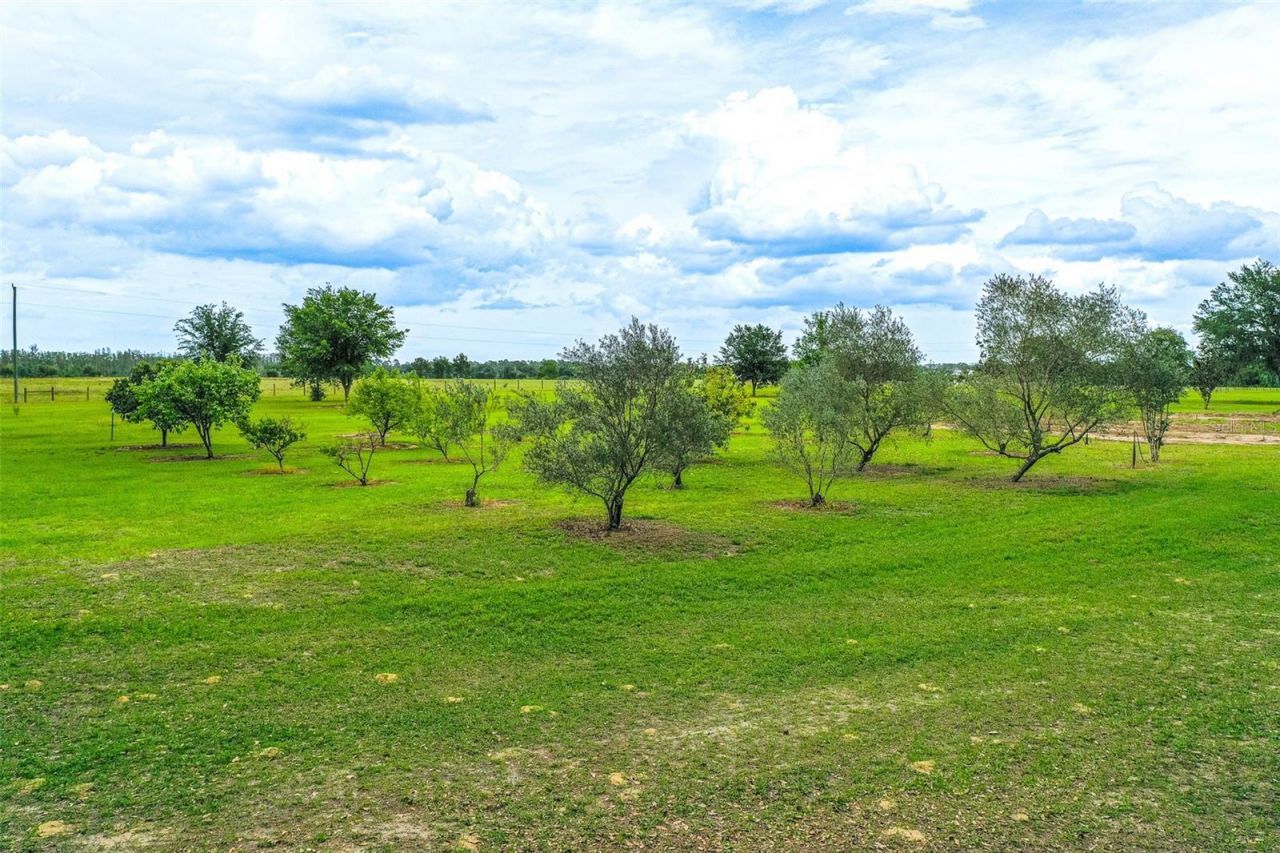 6850 Hunt Road, Groveland, FL 34736 Photo