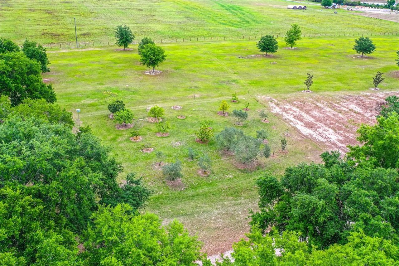 6850 Hunt Road, Groveland, FL 34736 Photo