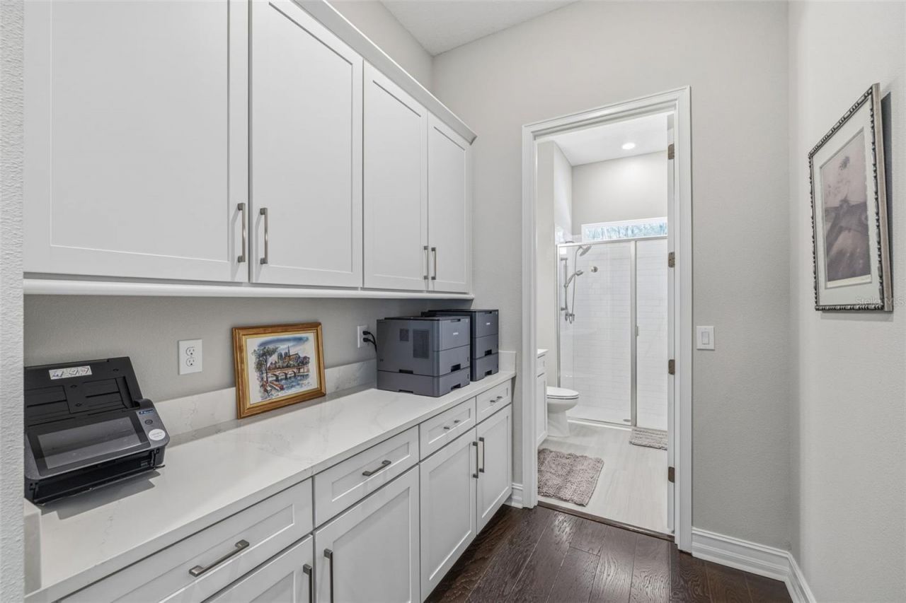 3636 Madison Cypress Drive, Lutz, FL 33558 Photo