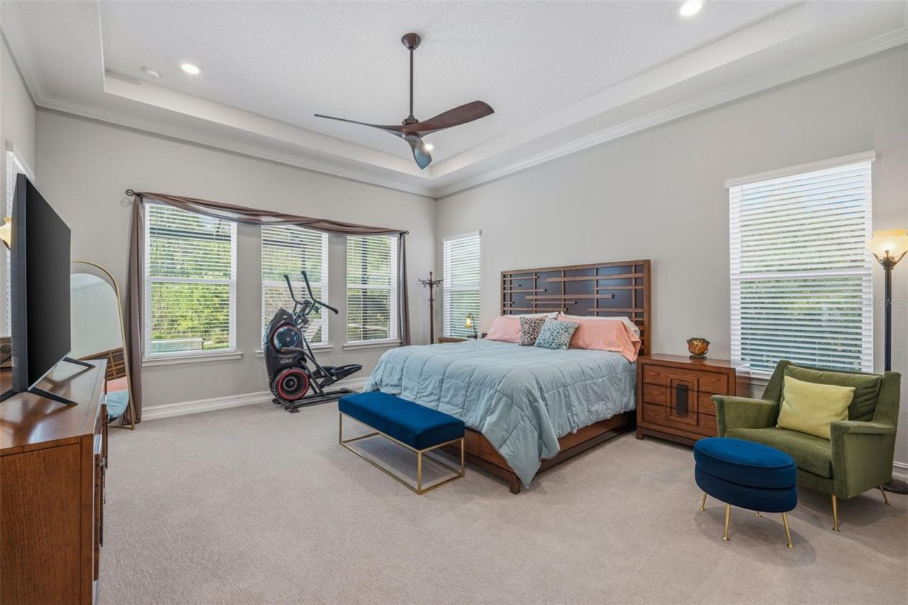 3636 Madison Cypress Drive, Lutz, FL 33558 Photo