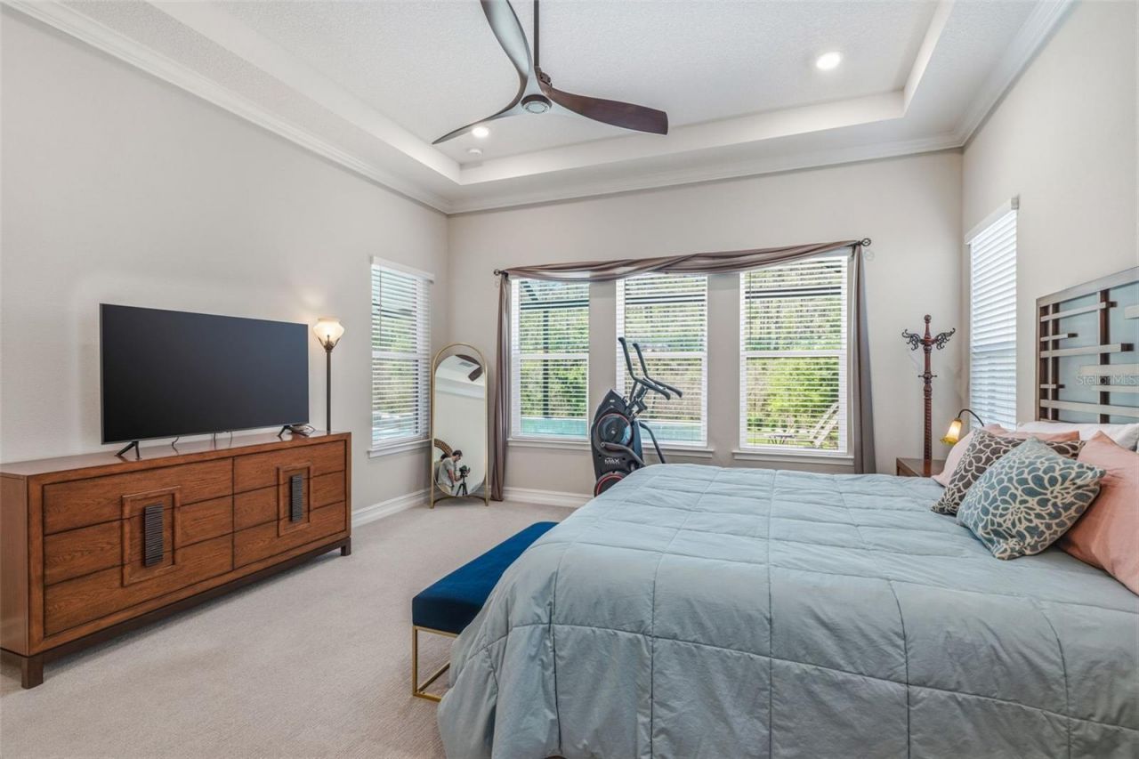 3636 Madison Cypress Drive, Lutz, FL 33558 Photo