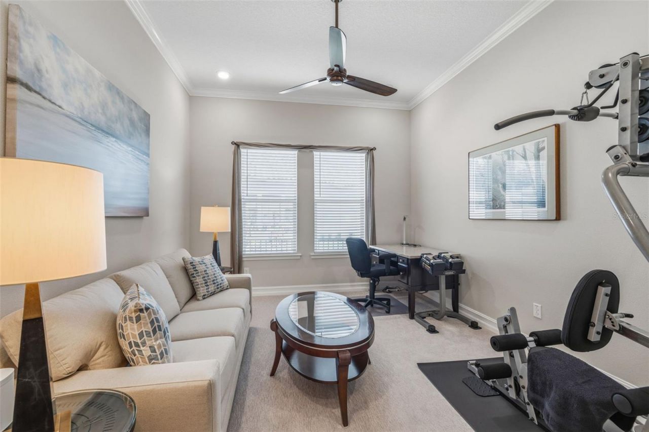 3636 Madison Cypress Drive, Lutz, FL 33558 Photo