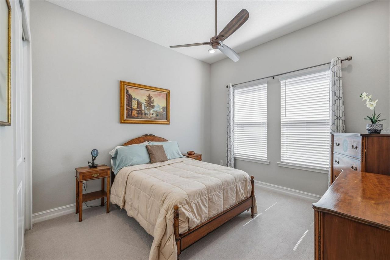 3636 Madison Cypress Drive, Lutz, FL 33558 Photo