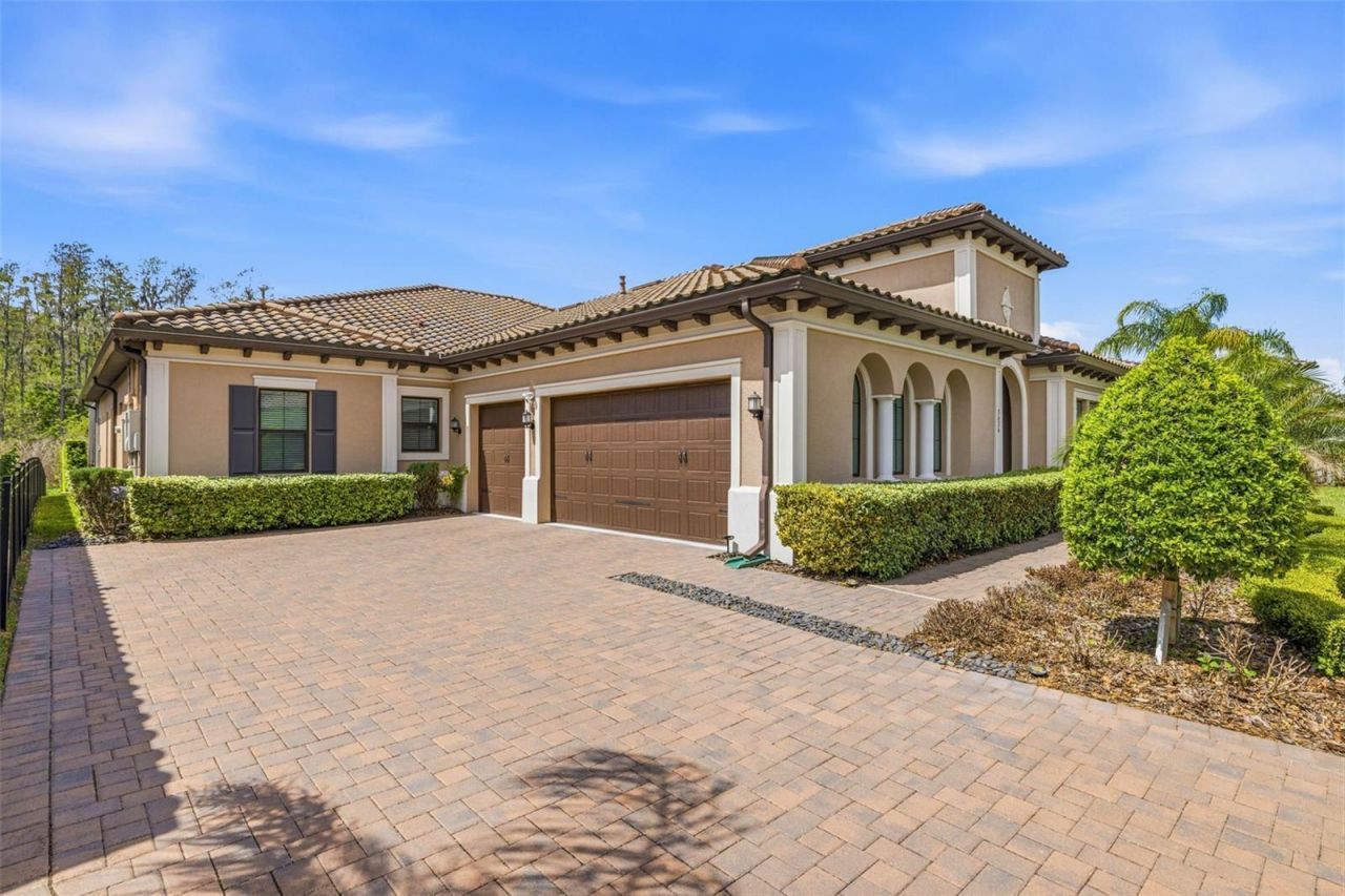 3636 Madison Cypress Drive, Lutz, FL 33558 Photo