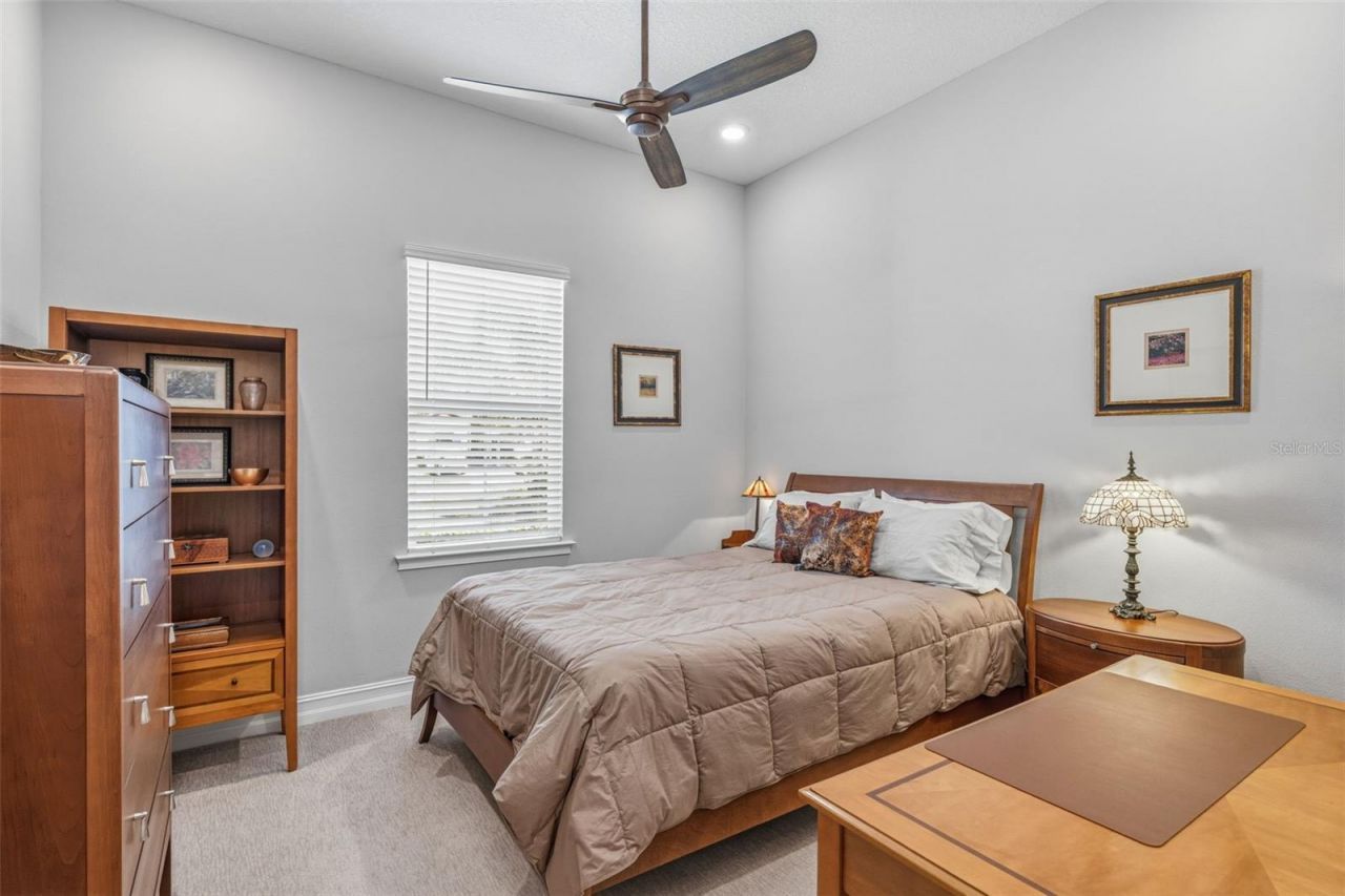 3636 Madison Cypress Drive, Lutz, FL 33558 Photo