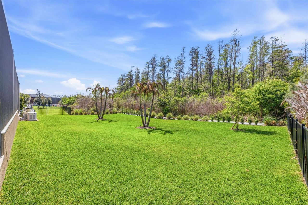 3636 Madison Cypress Drive, Lutz, FL 33558 Photo