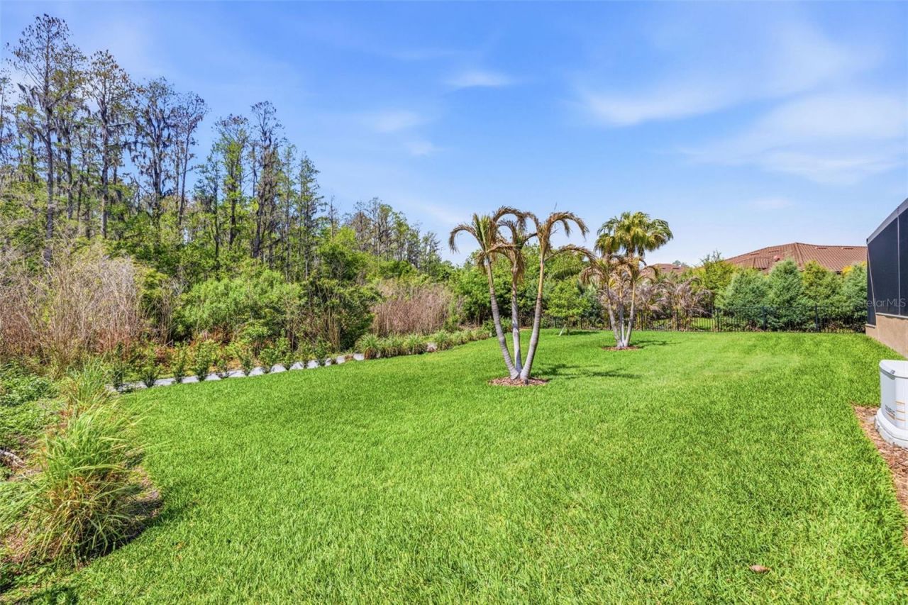 3636 Madison Cypress Drive, Lutz, FL 33558 Photo