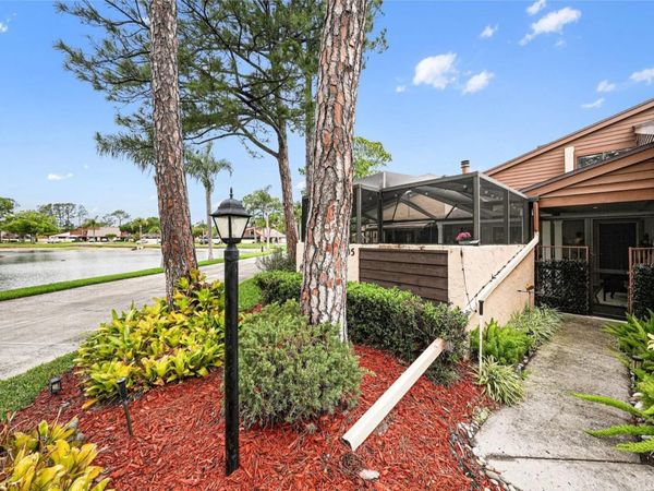 4805 UMBER COURT , TAMPA, FL 33624