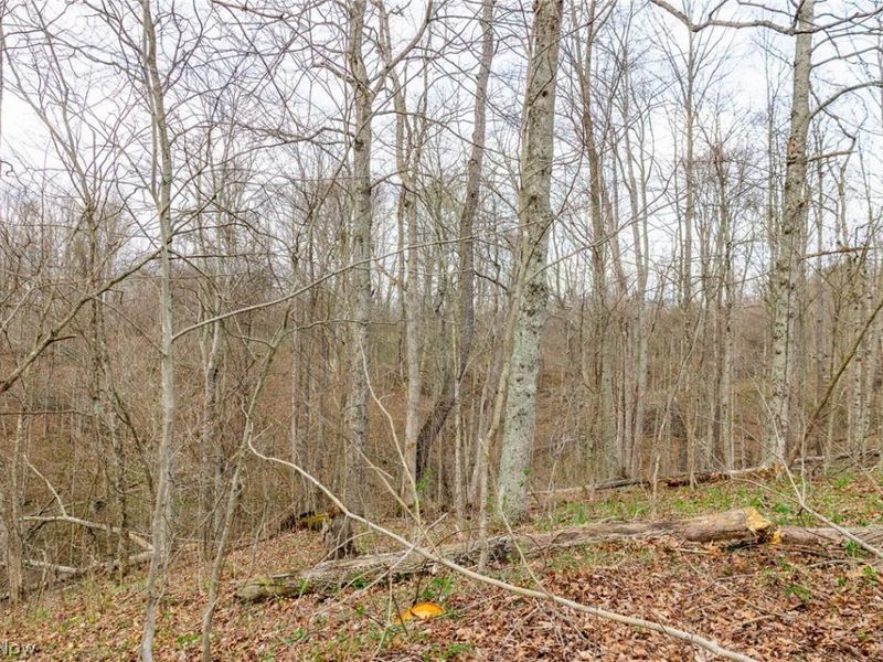 643 S Townsend Road SW, Malta, OH 43758 Photo 24