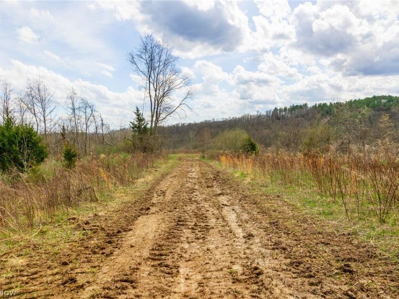 643 S Townsend Road SW, Malta, OH 43758 Photo 31