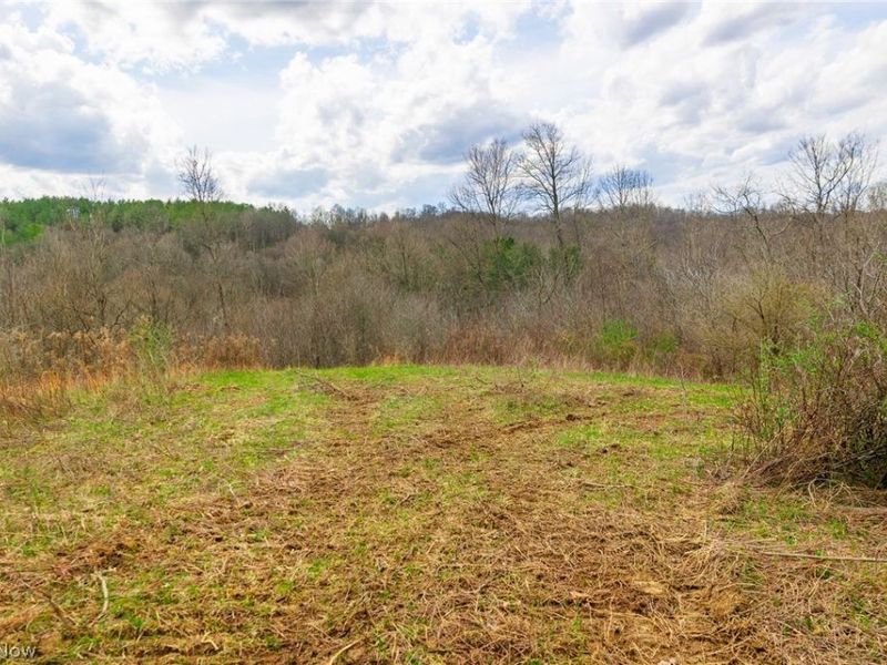 643 S Townsend Road SW, Malta, OH 43758 Photo 10