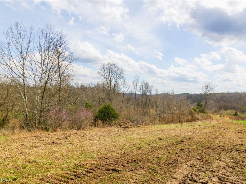 643 S Townsend Road SW, Malta, OH 43758 Photo 5