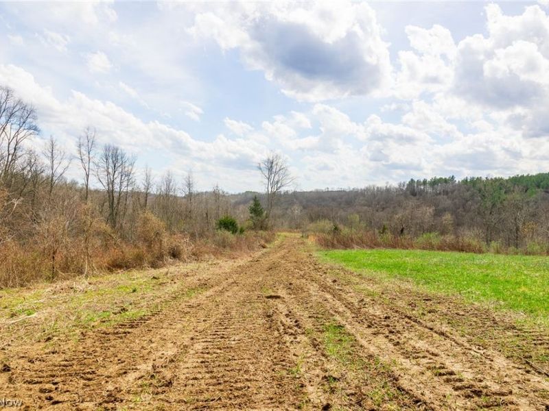 643 S Townsend Road SW, Malta, OH 43758 Photo 6