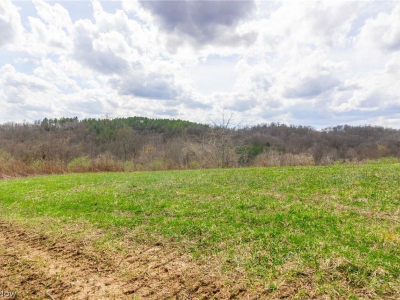 643 S Townsend Road SW, Malta, OH 43758 Photo 7