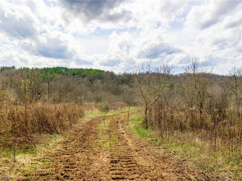 643 S Townsend Road SW, Malta, OH 43758 Photo 9