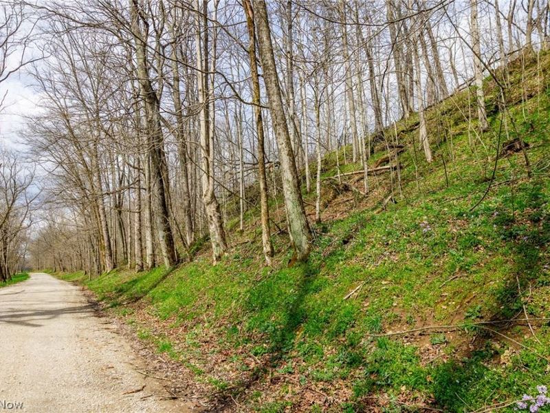 643 S Townsend Road SW, Malta, OH 43758 Photo 10