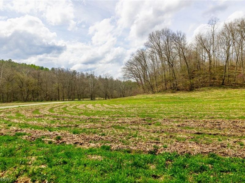 643 S Townsend Road SW, Malta, OH 43758 Photo 7