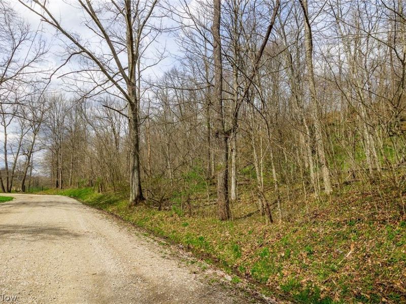 643 S Townsend Road SW, Malta, OH 43758 Photo 5