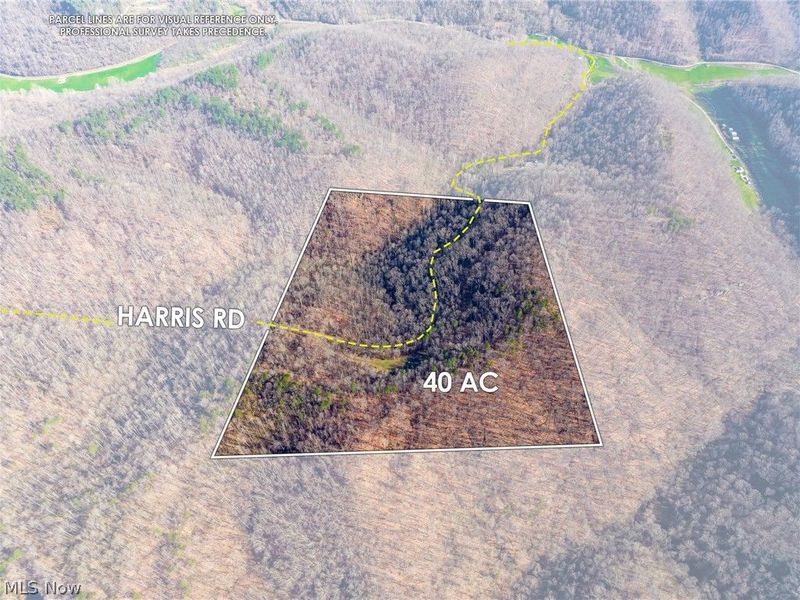 1590 Mcgregor Road, New Matamoras, OH 45767 Photo 1