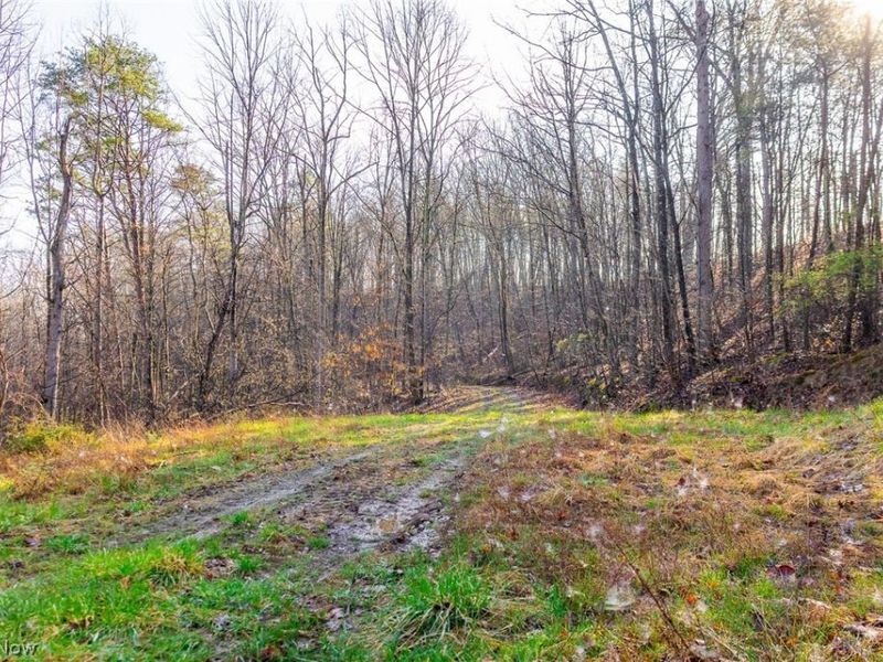 1590 Mcgregor Road, New Matamoras, OH 45767 Photo 10